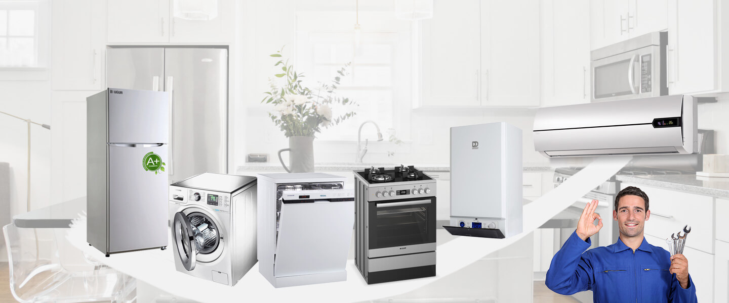 Palu Electrolux Servisi